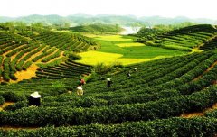農(nóng)產(chǎn)品農(nóng)藥殘留快速檢測設(shè)備農(nóng)殘檢測 農(nóng)產(chǎn)品農(nóng)藥殘留快速檢測設(shè)備農(nóng)殘檢測