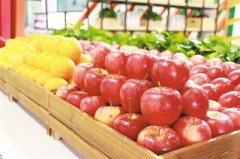 多功能食品安全檢測儀使用 多功能食品安全檢測儀使用
