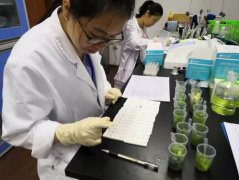 果蔬農(nóng)殘檢測儀哪家好 果蔬農(nóng)殘檢測儀哪家好