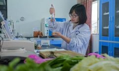 蔬菜農(nóng)藥殘留快速檢測儀器哪個準確 蔬菜農(nóng)藥殘留快速檢測儀器哪個準確